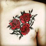 Rosas Vermelhas Red rose
