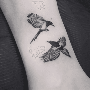 #blackandgrey #magpie #tattoooftheday 