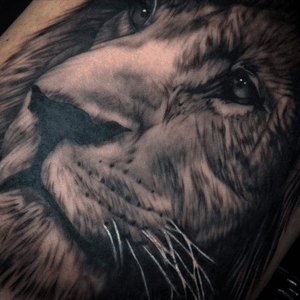 Lion of Zion for part of my Bob Marley Sleeve