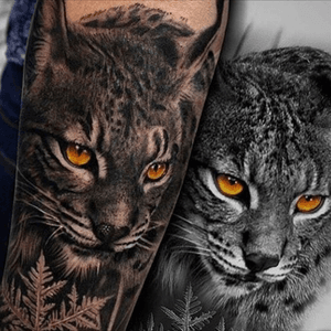 Love this subtle addition of colour in this black & grey tattoo. Will go with a similar thing on my chestpiece thursday #blackandgrey #splashofcolour #colour #animal #lynx #realistic #realism #TattooGirl 