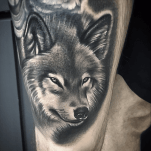 Wolf#wolf #ta2 #tatoo #tattoo #tatuagem #tatuagens #tatuagi #tattooed #tattoos #toptattoo #toptattoos #tattooofinstagram #lovetattoo #artenapele #arte #ink #inked #instattoo #instatoo #tattooart #tattooartist #tattooist #jecktattoo #jecktatuagens #blackandgrey #blackandgreytattoos 