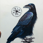 #draw #drawing #black #crow #soermonsivais #tatto #art #artist #sketch #asketchaday 