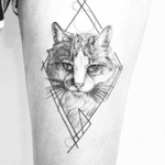 #megandreamtattoo #meganmassacrecontest I'd love to see one of my cats stylized by Megan, with colors, in s way that only Megan can do. Please Tattodo! Please, Megan!