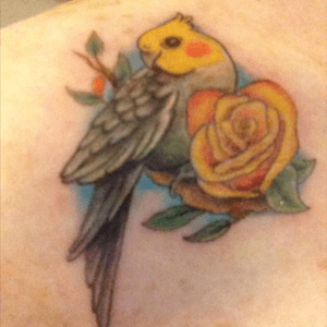 10th tattoo, done just 2 weeks ago. This is on my right side. Tribute to my Nana who passed last year. Pic of her bird henry and her favorite colored rose