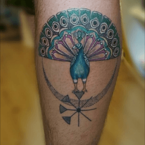 #peacock #bird #dot #color #TayfunBilgen #geometic #welove 