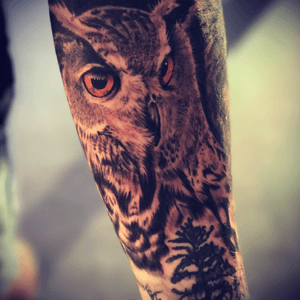 Owl cover up! Love these pieces man! Bring me more! 😎✌️