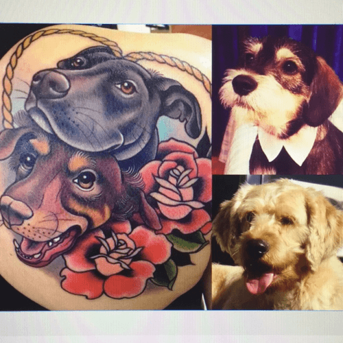 I want to celebrate the lives of my dogs, Max & Gordon, with a tattoo like this one but without the roses. #MeganDreamTattoo 