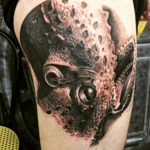 Tattoo in progress by Floyd Varesi #floydvaresi #varrystattoo #tattoo #skull #octopus #octopustattoo #inkartist #ink #darkskull #swiss #sissach #tattoooftheday #tattoodo #skinartmag #tattooart #surrealismart #swissinkinsta #tattooneeds #cheyennetattooequipment #inkbooster #alphasuperfluid #blackandgrey #darkartists #tattooartist #realistictattoo #surealism #proartist #inkworld #realisticart 