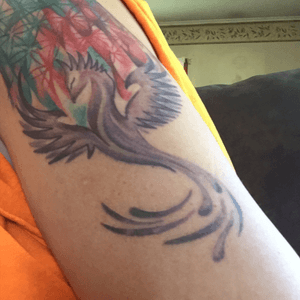 Sempiternal around a phoenix