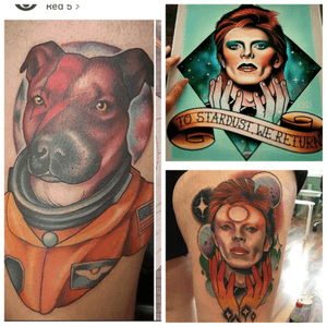 #megandreamtattoo my dog Ziggy Stardust as David Bowie - she would nail this portrait perfectly 🐶⚡️💖Would like on right thigh or anywhere on left arm!#tattoo #meganmassacre