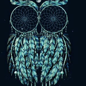 This would be my #dreamtatoo #tattoodo @amijames reason being my mom loves owls and this would be the perfect tattoo to think of her by. This is a #dreamcatcherowl #dreamowl
