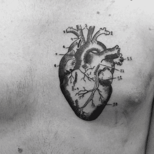 Enciclopedia heartDesign & tattoo by @M0nk #blackwork #heart #etching #linework #enciclopedia #monkcalavera