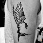 Nº305 #tattoo #tatuaje #ink #inked #bird #birdtattoo #fly #flyingbird #freedom #wings #blackwork #blacktattoo #eternalink #cheyenne #cheyennetattoo #penhawk #bylazlodasilva Based on other artist design