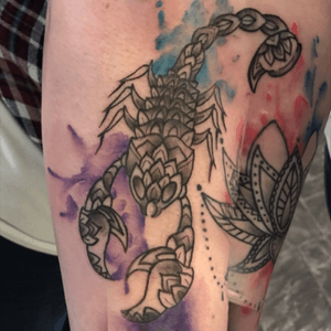 Mandala scorpion with watercolour #tattoo #tattoos #ink #tattooflash #tattoodesign #illustrated #illustrator #illustration #illustratorsoninstagram #instadrawing #instaillustration #arts #watercolortattoo #mandalatattoo 