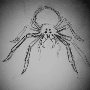 Spider sketch