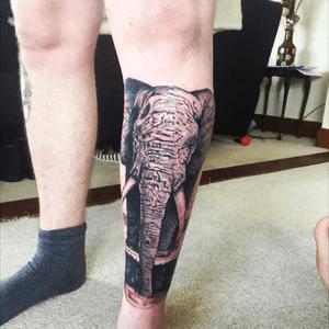 After second session, one more to go.#elephant #lowerlegtattoo 