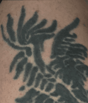 Eagle - first tattoo