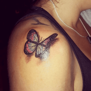 Mariposa butterfly 