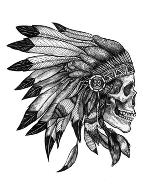 Native american skull/feather crown skull
