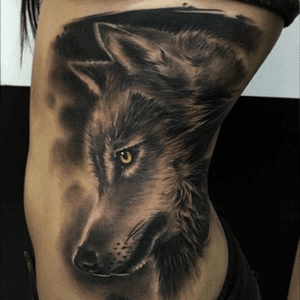 Nice wolfaction #wolf #blackandgrey #realistic 