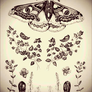 I've always wanted a moth tattoo. I really love this rendition. I also want something unique. #dreamtattoo 
