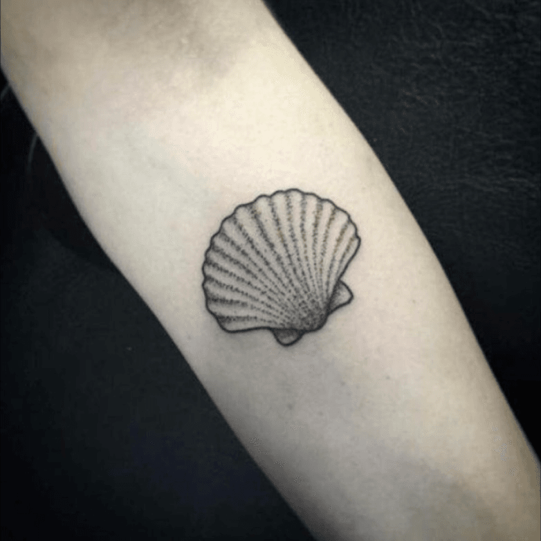 seashell in Tattoos  Search in 13M Tattoos Now  Tattoodo