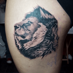 Lion head by Rudy
