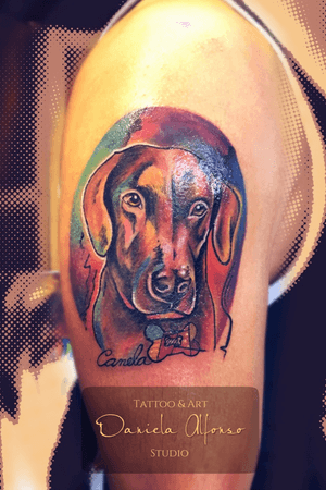 Canela Tattoo #pet #pettattoo  #dog 