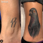 Just cover it with a #pigeon #coverup 