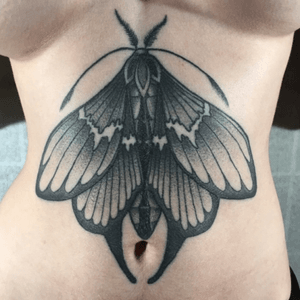 Healed moth tattoo #moth #dotwork #dotworktattoo #mothtattoo #healed #blackandgray 