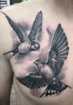 Done by Bram Koenen - Resident Artist.                         #tat #tatt #tattoo #tattoos #amazingtattoo #tattoolovers #ink #inked #inkedup #amazingink #inklovers #blackandgrey #blackandgreytattoo #bird #birds #amazingart #art #culemborg #netherlands 