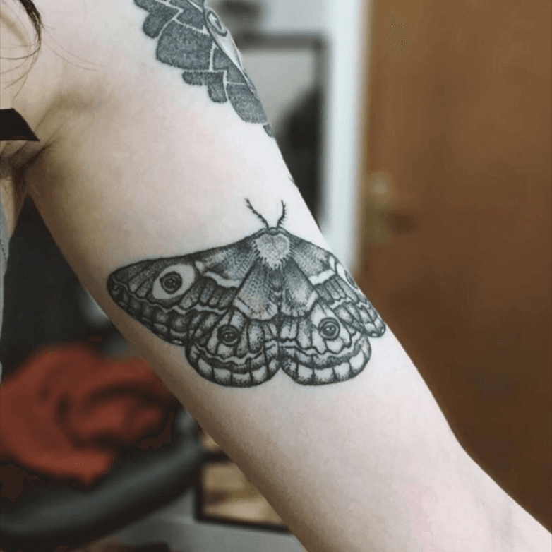 Moth Tattoo Vector Art Icons and Graphics for Free Download