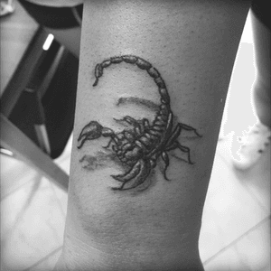 🦂🦂🦂 #tattoo #scorpion #littletatto  #3Deffect 