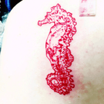 Seahorse. Wicked Good Ink.