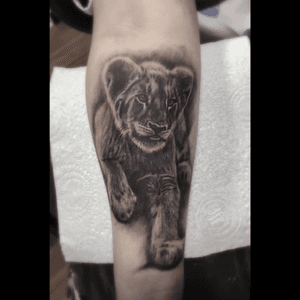 A lion cub for Gemma, this was her first tattoo! #lewishazlewood #lewishazlewoodtattoo #staganddaggertattoo #somerset #uk #blackandgrey #blackandgreytattoo #blackandgray #blackandgraytattoo #bng #bngtattoo #lion #lioncub #liontattoo #lioncubtattoo #cubtattoo #cub #firsttattoo 