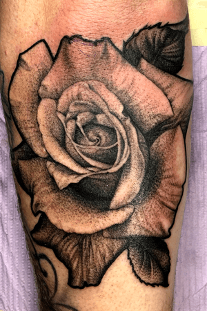 Realistic rose black and grey fineline