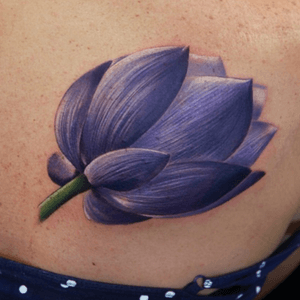 #richiebon #flower #purpleflower #lotus 