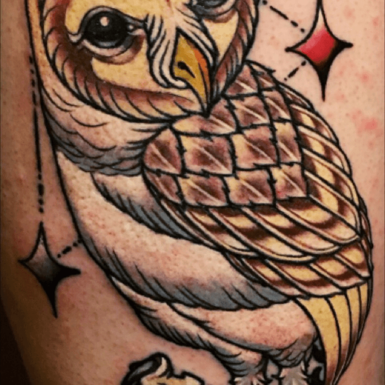 barred owl tattoo