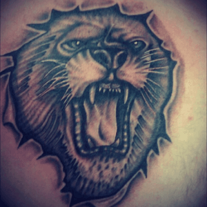 My lion tat #dreamtattos #lion #blackandgreytsttoo #tattoodo