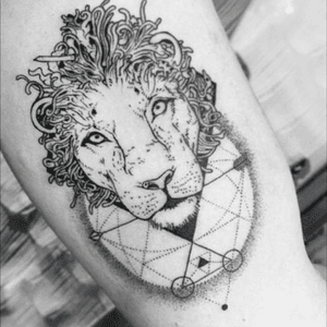#lion #geometric #psychedelic #features 