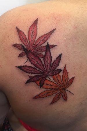 #momiji #tattoos #nature #color #yamatattoostudio #akuma #roma 