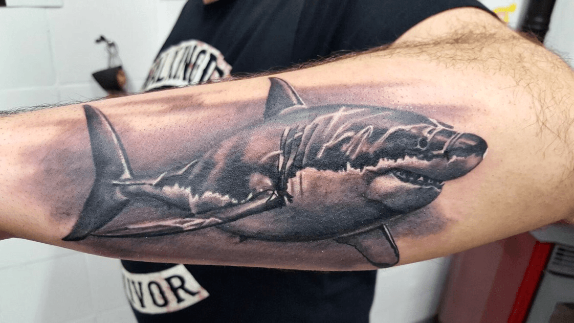 Tattoo uploaded by mirko  realism white shark  leretica tattoo factory  piancamuno italy made by artist luca merelli shark sharktattoo realism  blackandgrey italy forearm forearmtattoo  Tattoodo