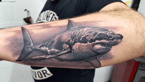 realism  white shark  @ l’eretica tattoo factory piancamuno italy made by artist luca merelli  #shark #sharktattoo #realism #blackandgrey #italy #forearm #forearmtattoo 