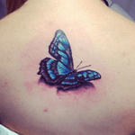 #butterfly #realisticbutterfly #realistic #realista #borboleta #borboletarealista #tattoo #JeffinhoTattow 