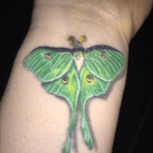 My Luna Moth, covers an a-line scar on my wrist. As they only live for a day, it reminds me to live for today, this very moment, because tomorrow is not promised, and yesterday is gone.