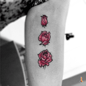 Nº366 #tattoo #tattooed #ink #inked #flower #flowertattoo #floral #floraltattoo #rose #roses #rosetattoo #bylazlodasilva