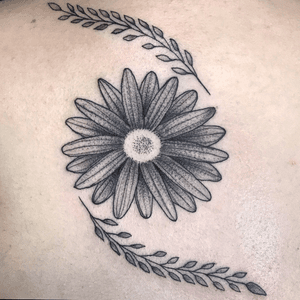 Sunflower #blackwork #flowers #floral #tattooartist #tattooart #leaf #lines #sunflower 
