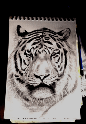 #drawing#tiger#blackandgrey