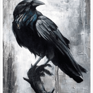 #Ravens 