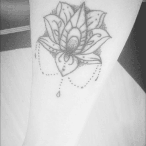 Lotus Flower 🌸